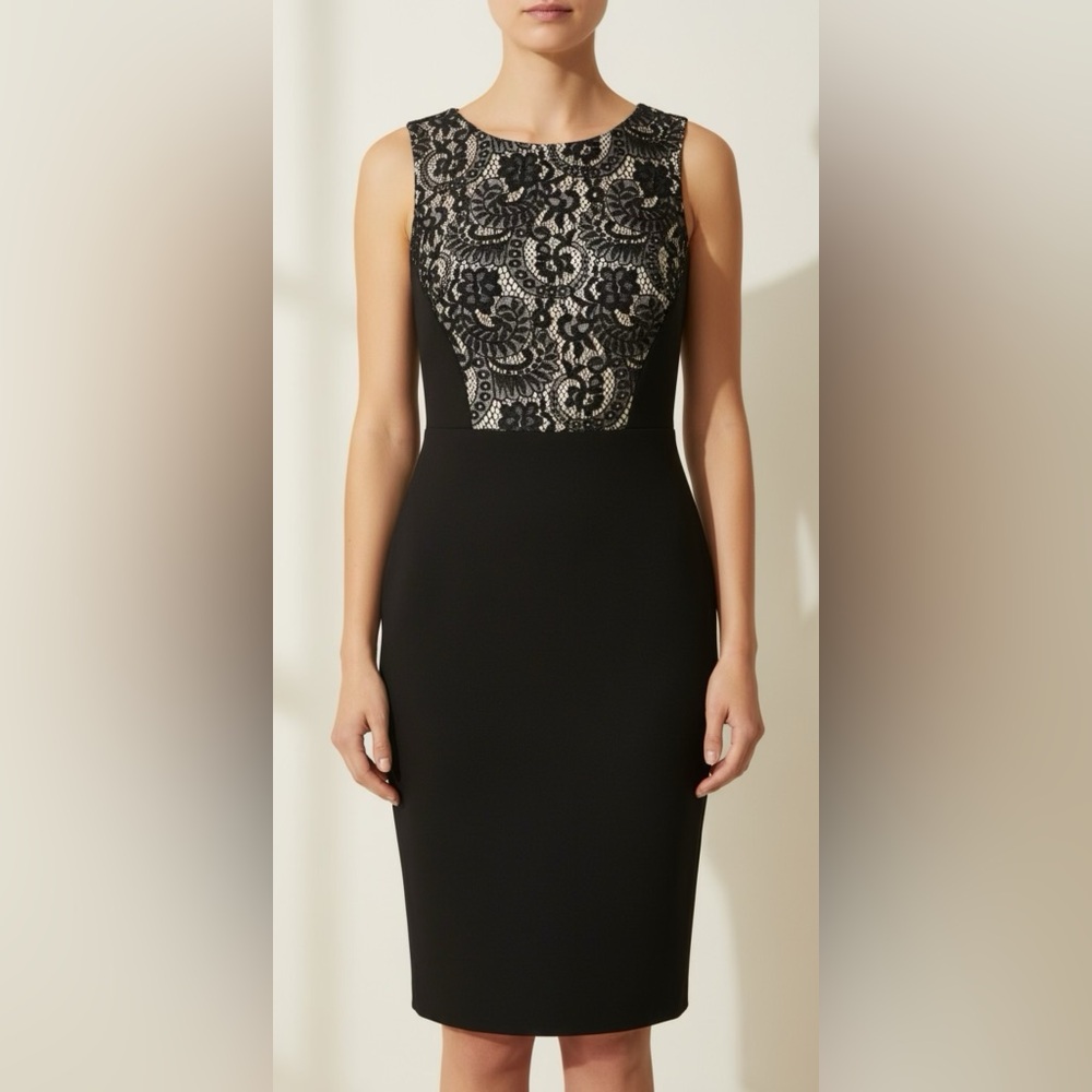 Women’s Enfocus Studios Elegant Black Lace Women's Dress size 6